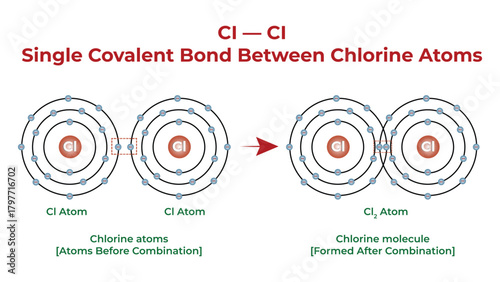 Chemistry Diagram of Single Covalent Bond Between Chlorine Atoms Vector