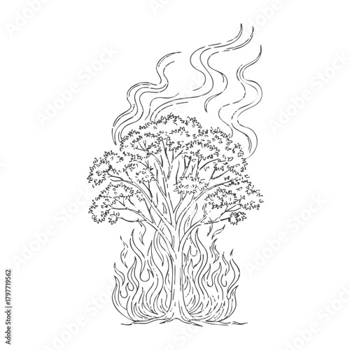 Moses and the Burning Bush Vector