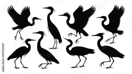 Assortment of Black Silhouette Herons and Egrets in Different Poses on White Background bird