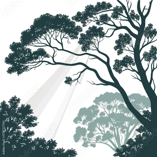 Silhouette of lush trees with sunlight rays filtering through branches and leaves in a serene forest setting