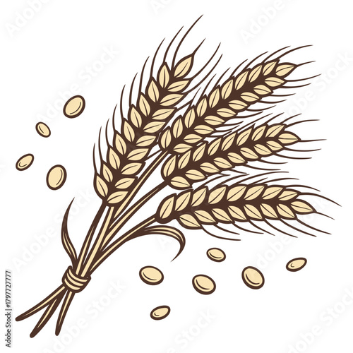 A bunch of golden wheat stalks tied together with scattered grains on a white background