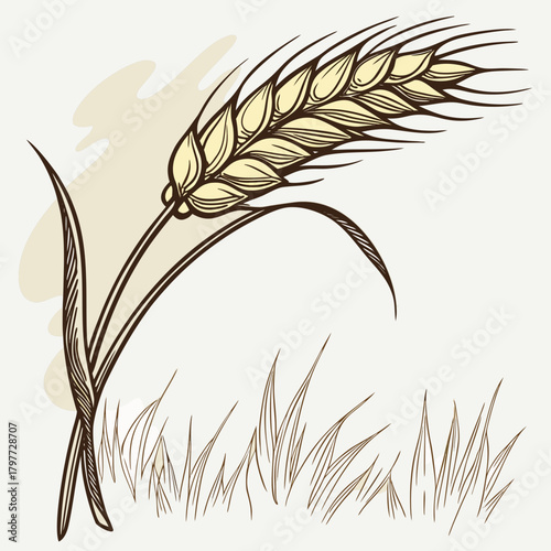 A single stalk of golden wheat with detailed lines stands tall against a soft beige background with wispy grass below