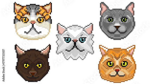 Ultimate Pixel Art Cat Head Avatars Set. Large 8-bit Style Collection Featuring Diverse Breeds: Bengal, Ragdoll, Maine Coon, and Exotic Shorthair.