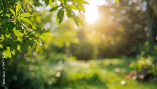 Lush greenery in a vibrant eco garden with a blurred summer backdrop, ideal for editorial header background