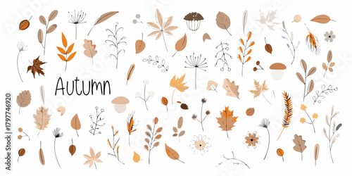 Collection of autumn leaves berries mushrooms and feathers in earthy tones