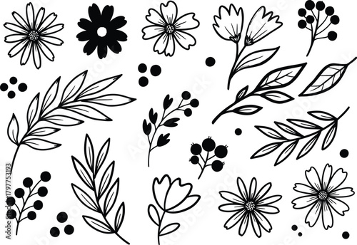 Hand drawn floral elements vector illustration