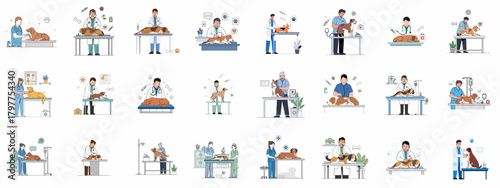 Veterinary Care Flat Illustrations: Dog Check-ups, Treatment, and Medical Procedures.