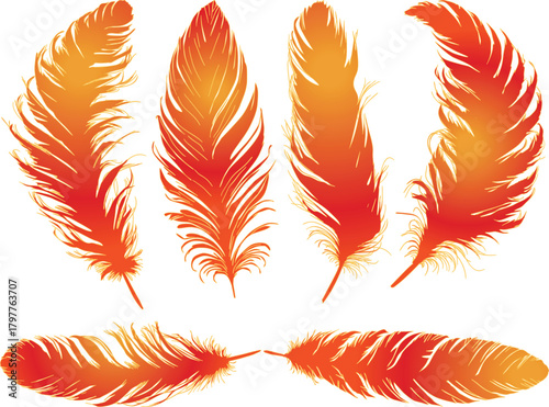 six orange feathers isolated on white background