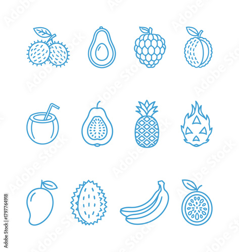 Tropical Exotic Fruits Outline Vector Icons Set: Thin Line Drawings of Lychee, Avocado, Durian, Pineapple, and Banana for Healthy Food and Produce