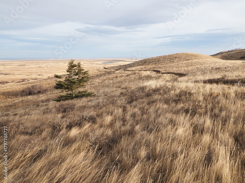 Cypress Hills provincial park in southern Alberta - travel and tourism, hiking