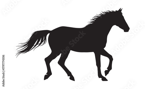 Elegant horse silhouette vector illustration of a running mustang isolated on white background for equine design projects