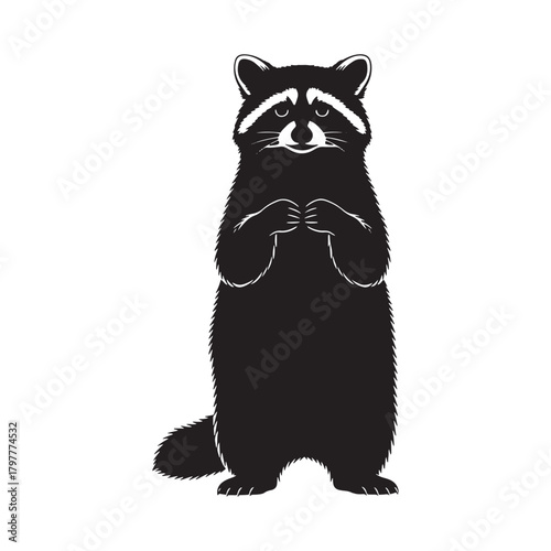 Standing raccoon vector illustration minimalist black and white design isolated on white background