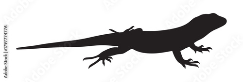 Lizard silhouette vector illustration of a reptile isolated on white background