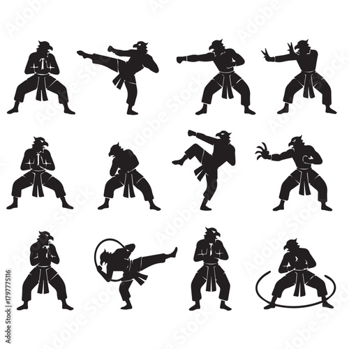 Silhouette illustrations of a martial artist in various dynamic action poses, demonstrating fighting techniques.
