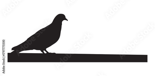 Silhouette of a pigeon perching on a ledge simple vector illustration isolated on white background