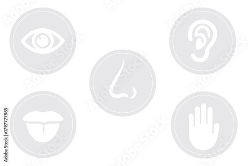 Five human senses one line drawing in circle. Touch, smell, taste, look, hear icon. Set of 5 types feelings. Vector illustration