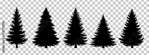 Silhouette of evergreen trees on a transparent background.