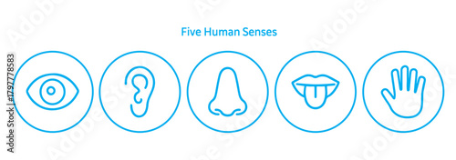 Five human senses editable stroke outline icons set. Flat vector illustration of human senses including ear, eye, nose, lips, and hand in minimalist design style. Vector illustration eps