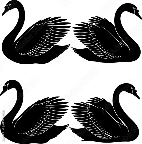 Four stylized black swans with elegant curves and detailed feathers arranged in a symmetrical pattern on a white background