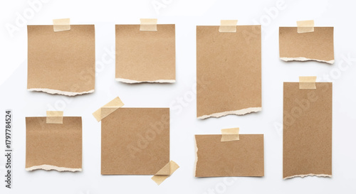 set of cardboard tags