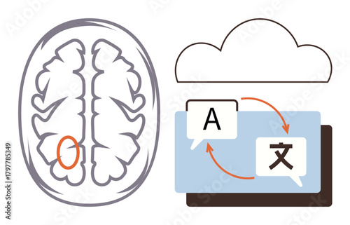 Human brain with highlighted region, speech bubbles with translation arrows, and cloud in background. Ideal for language, communication, neurology, cognition, AI education learning. Simple flat