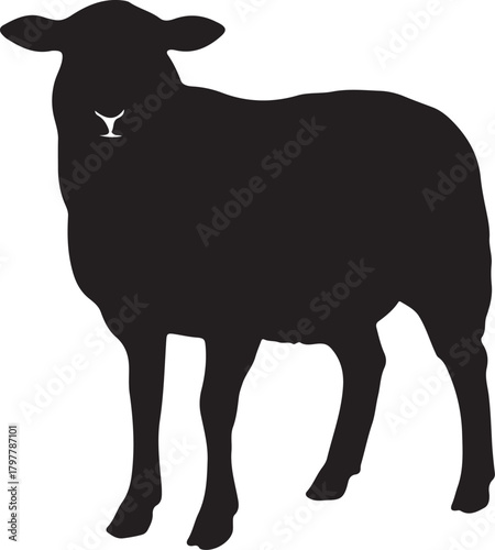 Silhouette of a standing sheep on a white background animal farm also transparent background