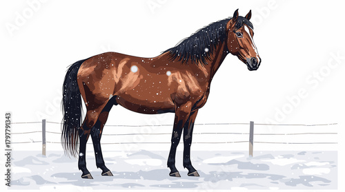 Dark bay horse in snowy paddock with black mane winter fence and snow concept