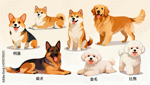 A collection of various cute puppies, with cartoon hand-drawn vector illustrations