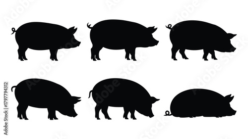 Six distinct black pig silhouettes showcasing different poses and movements, perfect for farm or agricultural themes