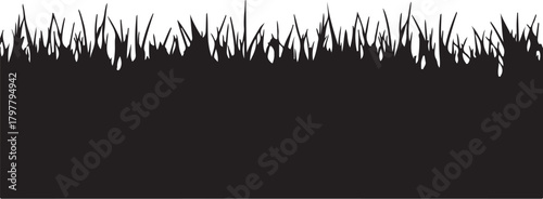 Black Silhouette of a Dense Grass Border with Jagged Edges black and white nature also transparent background