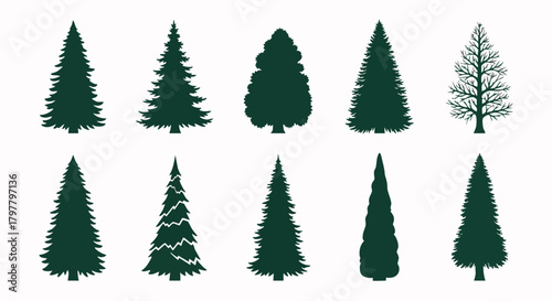 A diverse collection of evergreen tree silhouettes showcases distinct coniferous forms, ideal for winter holiday designs and natural forest scenes.