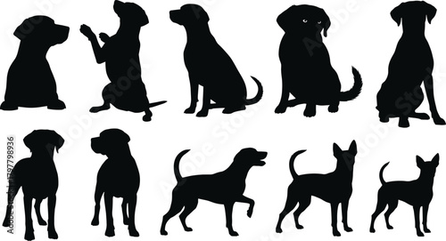 Dog silhouette collection, various breeds in poses, sitting and walking dogs, black pet icons for design, flat vector illustration