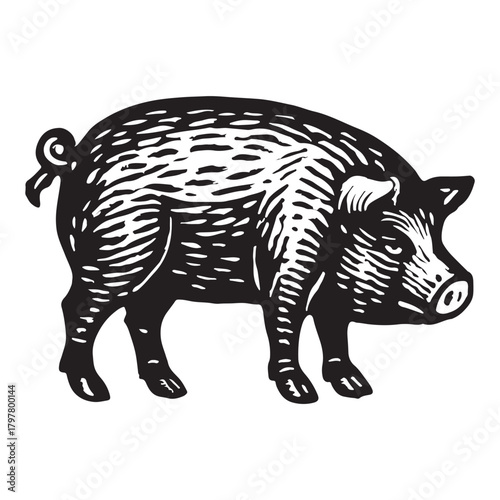 A classic woodcut illustration of a full-bodied pig, standing in profile and facing left, rendered in stark black and white with detailed linework and shading