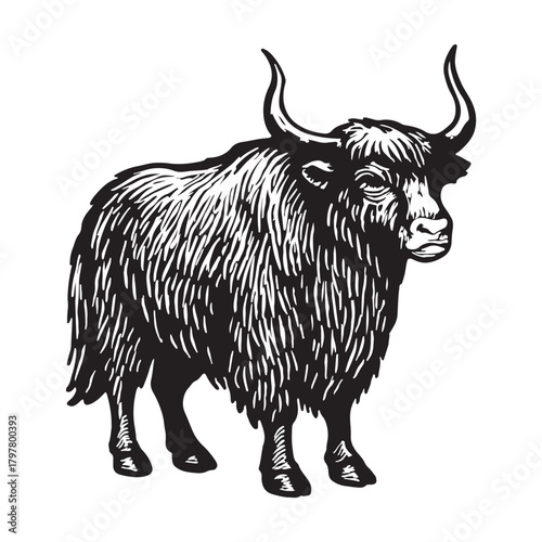 Illustrative Yak with Furry Texture and Horns Portraying Wild Animal, Vector Graphic of Wildlife