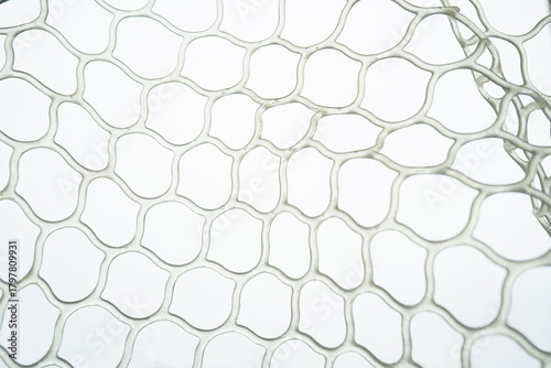 Transparent Silicone Mesh on White Background (Macro)
