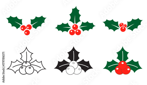 holly berry | Christmas Holly Berry  Icon Graphic