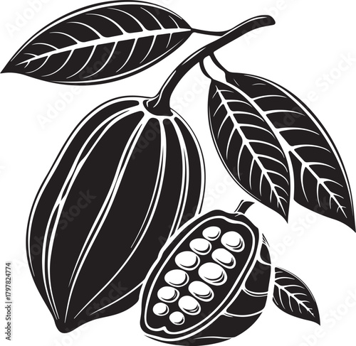 Silhouette of cacao pod with seeds inside isolated on transparent background vector illustration silhouette