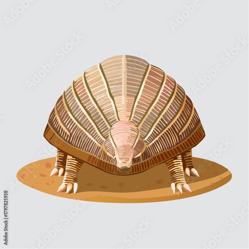 Armadillo on sandy surface