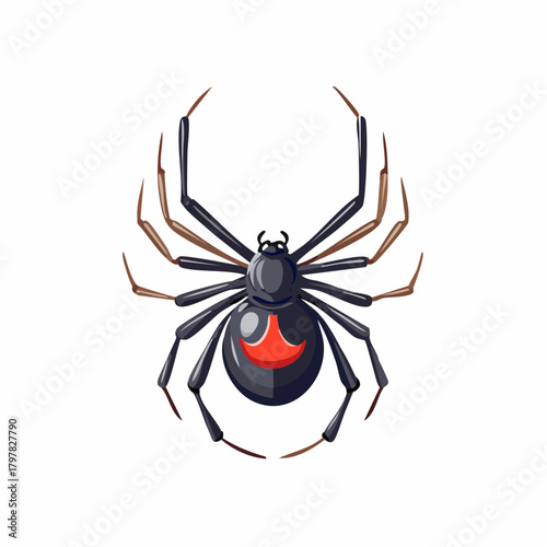Black widow spider with red hourglass with transparent background