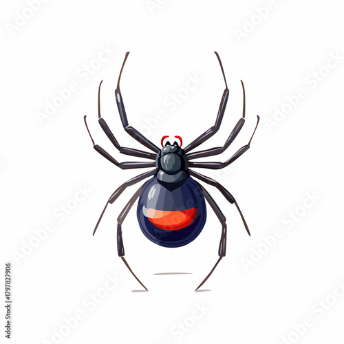 Black widow spider with red hourglass marking with transparent background