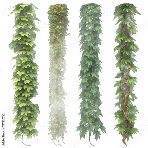3d lush green hanging plants with varied foliage isolated on transparent background