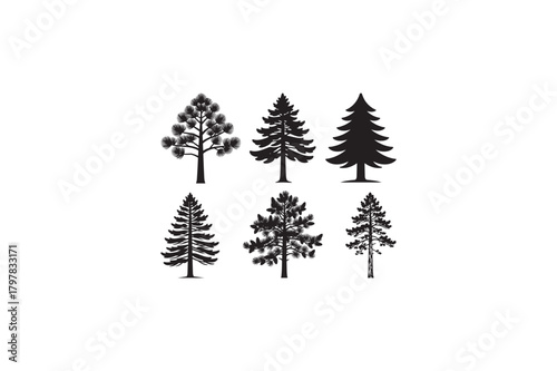 Softwood Eastern White Pine tree vector silhouettes black image.