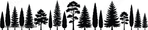 Silhouette, coniferous trees, forest line, evergreen pine, nature landscape, black trees, botanical art, woodland scene, tree shapes, vector illustration
