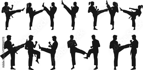 martial, arts, silhouette, kick, sparring, stance, uniform, belt, technique, combat, training, airborne, block, dynamic, vector