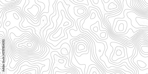 Topography background. Vector banner. Topography map background. Vector geographic contour map. Background of the topographic map. Topographic map lines, contour background.	