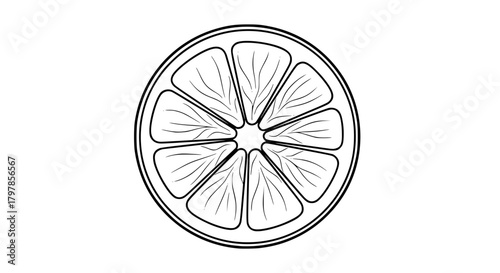 Vector of a sliced orange showing segments, simple outline, isolated
