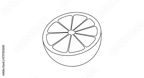 Vector of a sliced orange showing segments, simple outline, isolated