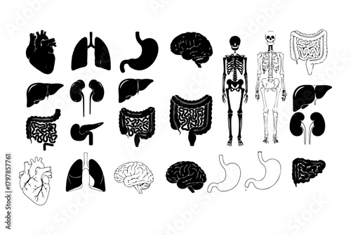 silhouette pack of human inner body parts