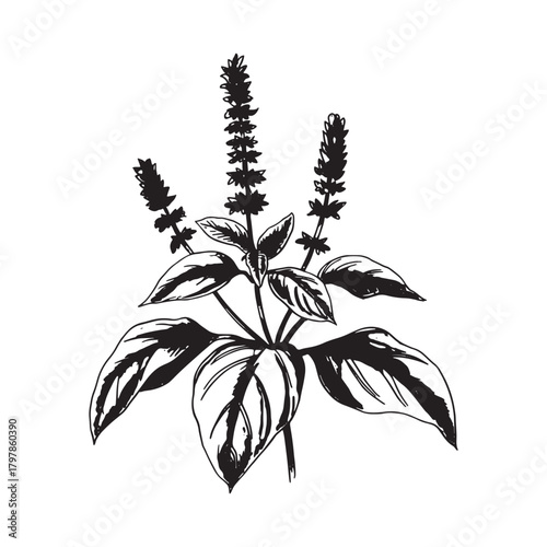 Elegant lavender flower design with delicate petals and green stems perfect for botanical art and floral decor