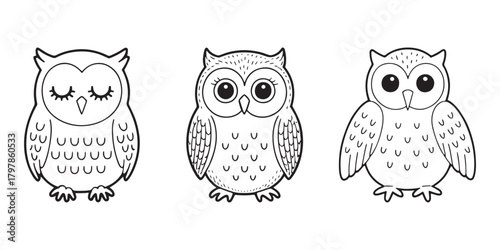 Charming vector illustration of a wise owl perched on a branch perfect for educational or nature themed designs